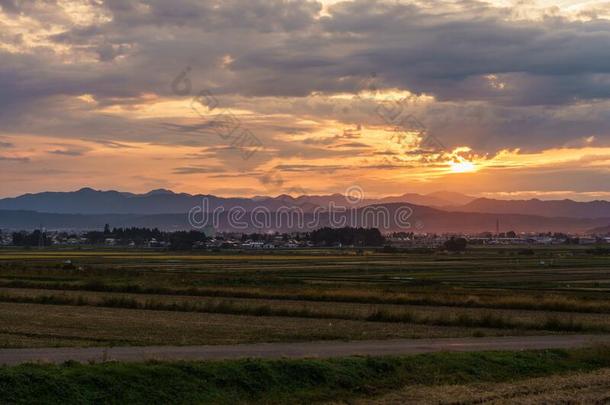 福岛观光地区采用黑色亮漆