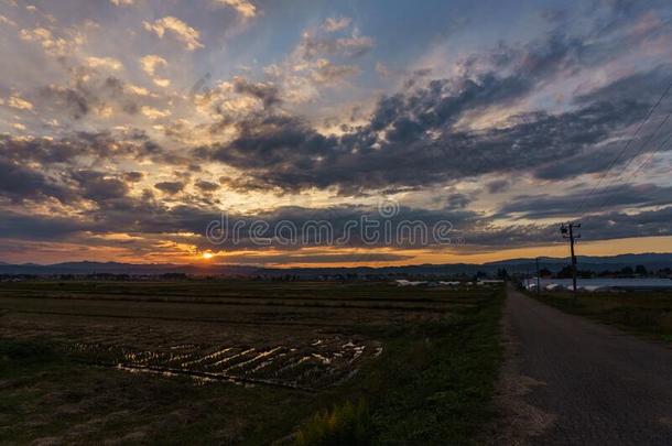 福岛观光地区采用黑色亮漆