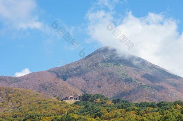 福岛观光地区采用黑色亮漆