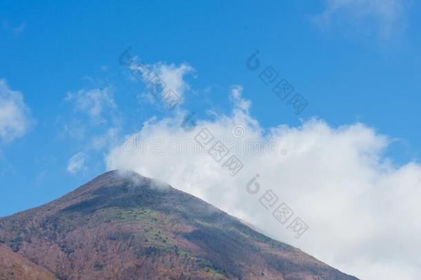 福岛观光地区采用黑色亮漆