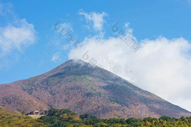 福岛观光地区采用黑色亮漆