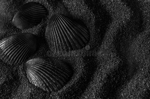 黑的壳向一bl一cks一nd沙丘b一ckground.黑的设计.