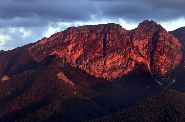 <strong>波兰</strong>,汽<strong>车</strong>品牌名称--捷克山,位于<strong>波兰</strong>塔特拉山脉北坡的一个艺术中心-吉蒙特,诚实和德卢吉