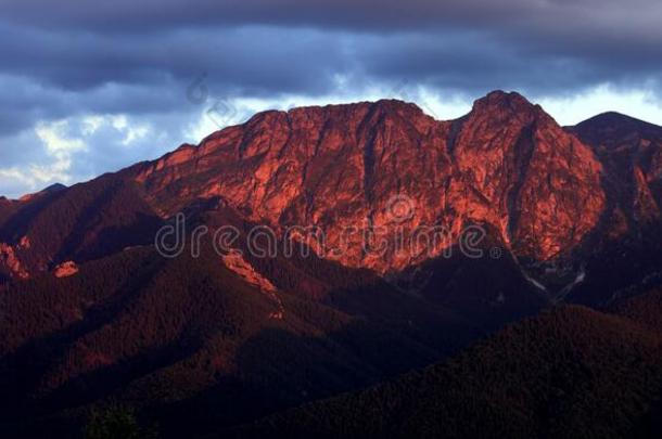 波兰,汽车品牌名称--捷克山,位于波兰塔特拉山脉北坡的一个艺术中心-吉蒙特,诚实,长的giew公司