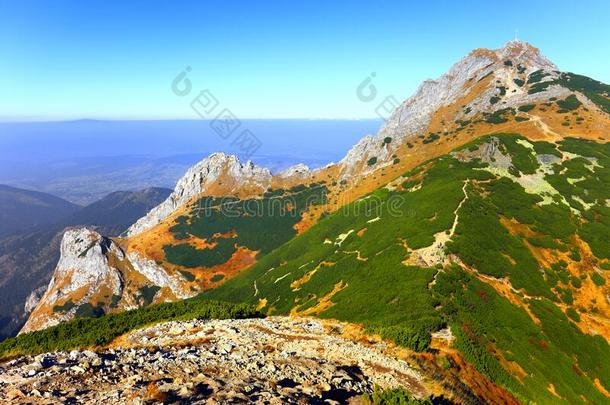 波兰,汽车品牌名称--捷克山,位于波兰塔特拉山脉北坡的一个艺术中心-吉蒙特马利,吉蒙特,Siodl