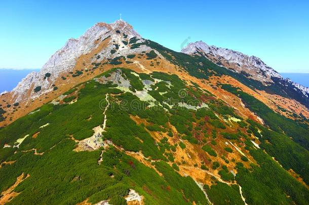 波兰,汽车品牌名称--捷克山,位于波兰塔特拉山脉北坡的一个艺术中心-吉蒙特,诚实,德卢吉吉吉