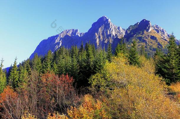 波兰,汽车品牌名称--捷克山,位于波兰塔特拉山脉北坡的一个艺术中心-吉蒙特,诚实和长的英语字母表的第7个字母