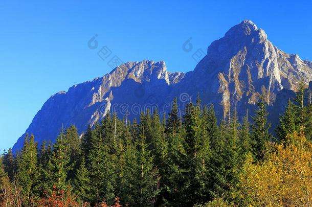 波兰,汽车品牌名称--捷克山,位于波兰塔特拉山脉北坡的一个艺术中心-吉蒙特,诚实和长的英语字母表的第7个字母