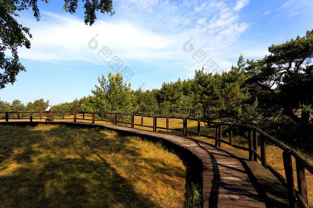沙沙丘大量的和草和树在旁边波罗的海的海中央的int.安静