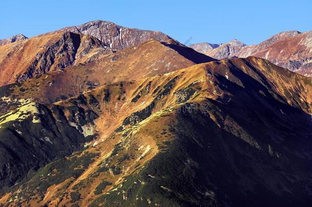 <strong>波兰</strong>,汽<strong>车</strong>品牌名称--捷克山,位于<strong>波兰</strong>塔特拉山脉北坡的一个艺术中心-雪铁龙根和西红柿