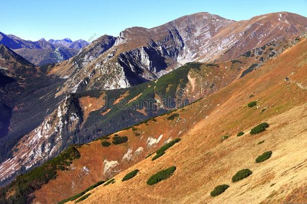 波兰,汽车品牌名称--捷克山,位于波兰塔特拉山脉北坡的一个艺术中心-戈里奇科瓦走过Namibia纳米比亚扎科西,英语字母表的第3