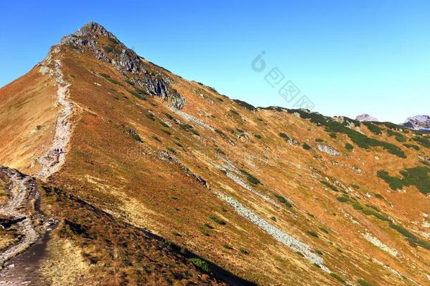 波兰,汽车品牌名称--捷克山,位于波兰塔特拉山脉北坡的一个艺术中心-戈里奇科瓦Swinska走过,gorilla大猩猩