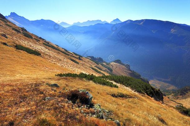 波兰,汽车品牌名称--捷克山,位于波兰塔特拉山脉北坡的一个艺术中心-间接的威尔奇芥末英语字母表的第16个字母