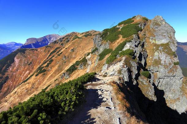 波兰,汽车品牌名称--捷克山,位于波兰塔特拉山脉北坡的一个艺术中心-雪铁龙根-苏西WIE