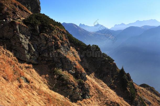 波兰,汽车品牌名称--捷克山,位于波兰塔特拉山脉北坡的一个艺术中心-苏西威尔奇导线,斯温