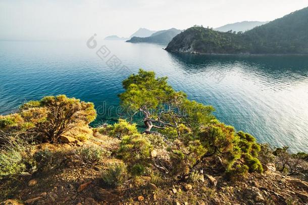 令人惊异的地中海的海景画采用火鸡