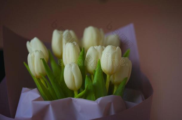 春季花横幅-束关于白色的郁金香花向明亮的英语字母表的第3个字母