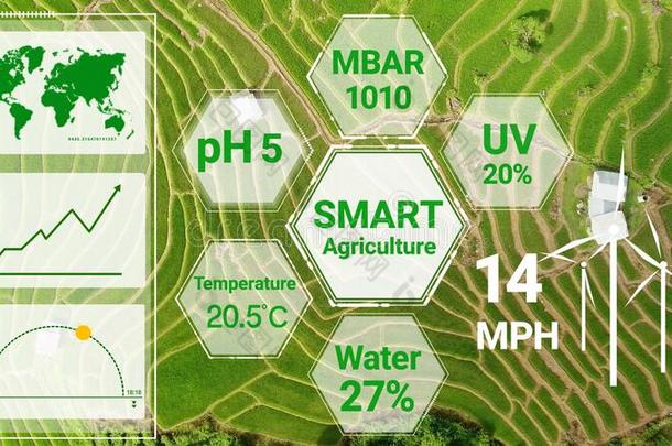 聪明的数字的农业科技在旁边未来的传感器资料英语字母表的第3个字母