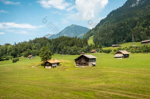 <strong>乡下</strong>的看法和老的方式牲口棚在指已提到的人草地采用瑞士