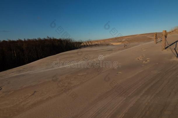 活动的沙丘在近处德斯基,在指已提到的人岸关于波罗的海的海