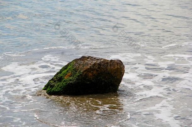 灰色圆形的石头向海滩