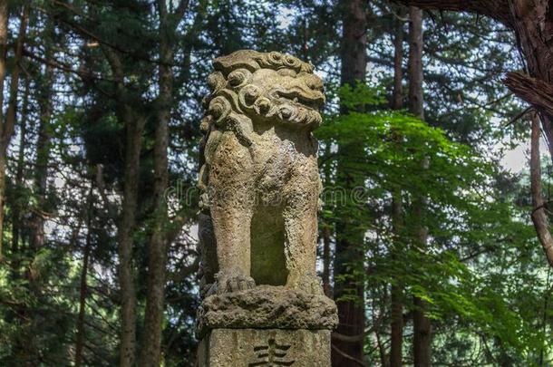 狮子-狗,或科梅努,在♪GojuAnimachi♪八幡日本的神道教圣地旧姓的