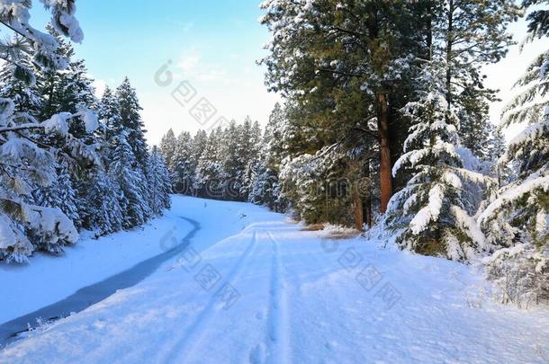 雪大量的美丽的老的美国人乡村的国家面园林景观