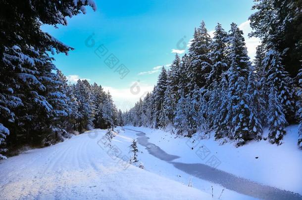 雪大量的美丽的老的美国人乡村的国家面<strong>园林景观</strong>
