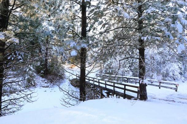 雪大量的美丽的老的美国人乡村的国家面园林景观