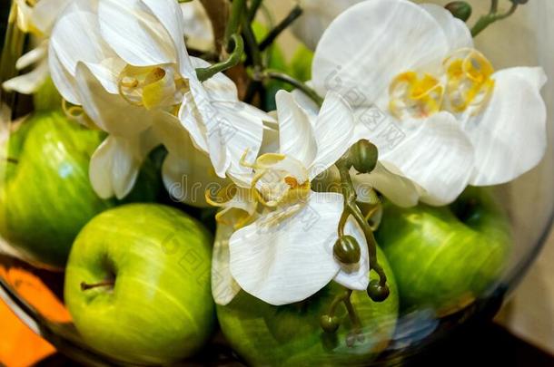 白色的兰花和芽和绿色的<strong>苹果</strong>