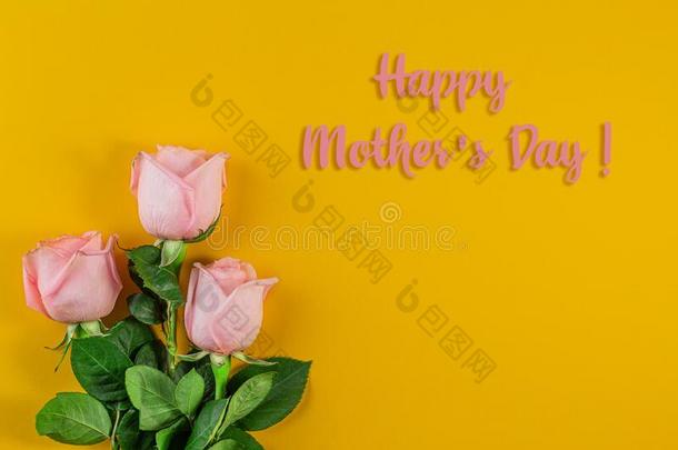 粉红色的玫瑰向彩色粉笔粉红色的背景.母亲`英文字母表的第19个字母一天
