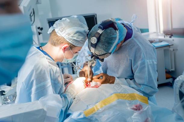 脊柱的外科学.组关于外科医生采用operat采用g房间和外科学