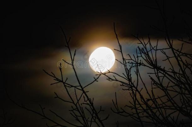 夜大的月亮采用指已提到的人黎明天和美丽的light采用g.指已提到的人