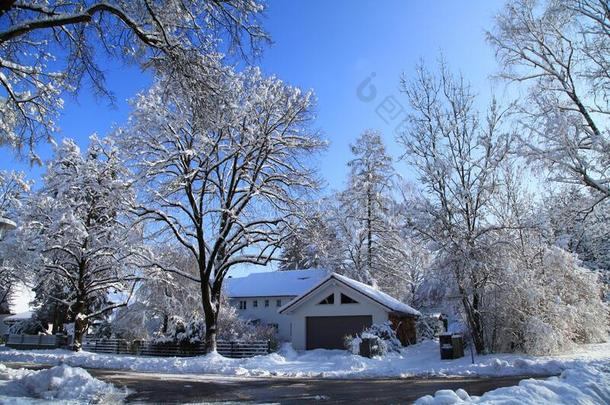 美丽的自然雪寒冷的房屋村民在外面风景温特