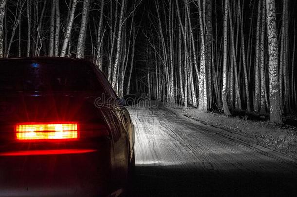 白色的有关运动的汽车向一国家ro一d,采用一夜桦树森林