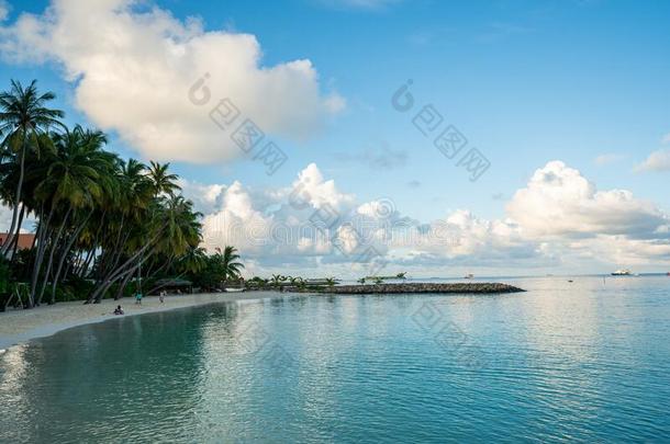 美丽的热带的<strong>马尔代夫海滩</strong>采用马福什岛,<strong>马尔代夫</strong>