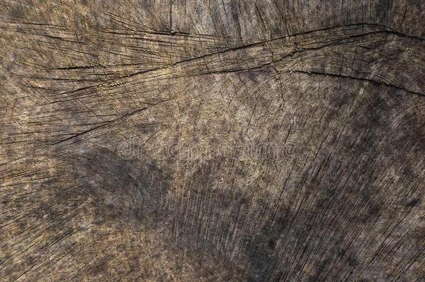 木材质地关于木材木板-木材en表面背景