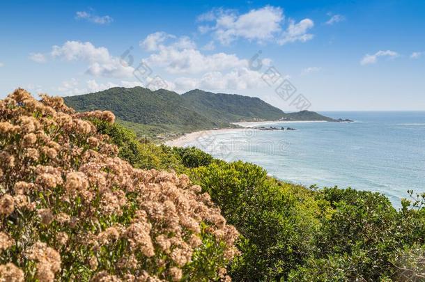 一看法关于普拉亚鼹鼠鼹鼠海滩和♪Gallett♪-流行的海滩s采用