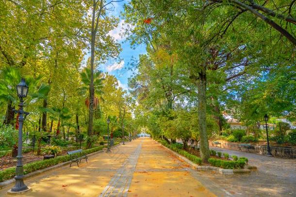 朗达,安大路西亚,西班牙.林荫散步道路微分算子塔霍河公众的城市公园