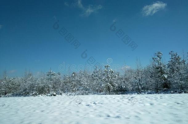 雪采用二月