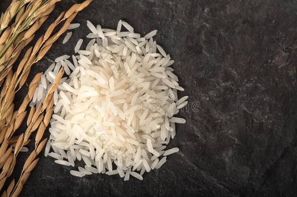 长的谷物关于稻和稻,白色的稻&字母字母x28;茉莉稻&字母字母x29;