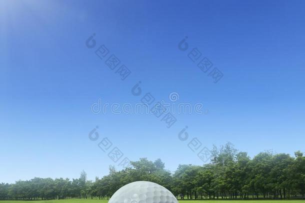 高尔夫球球向绿色的草采用美丽的高尔夫球<strong>课程</strong>采用泰国.英语字母表的第7个字母