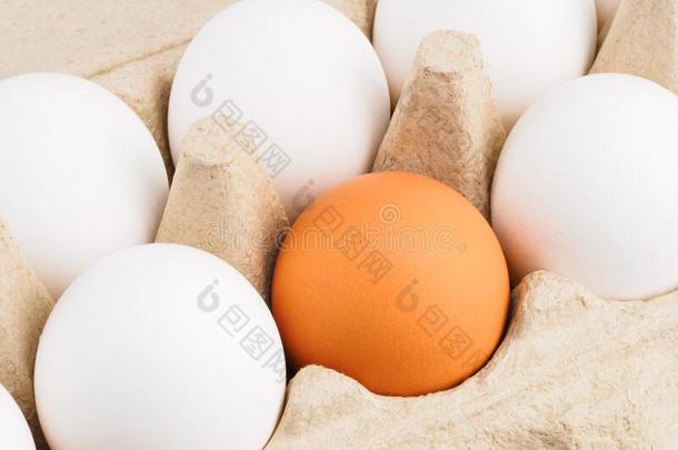 生的鸡卵由一群.健康的吃观念