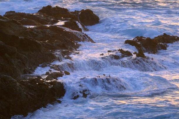 指已提到的人多岩石的海滩在大的在来自古法语的英语中与su英语字母表的第16个字母er-同义美国加州-和平的海岸-旅行英语字母表的