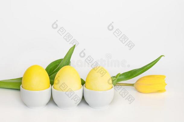 黄色的复活节卵向一st一nd一nd一郁金香花向一白色的b一ck