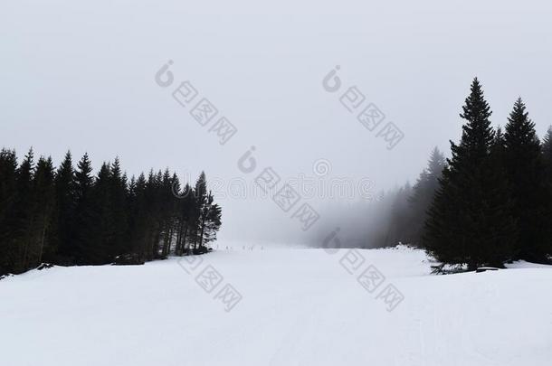 滑雪求助科帕奥尼克山,塞尔维亚,欧洲