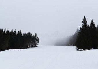 滑雪求助科帕奥尼克山,塞尔维亚,欧洲图片