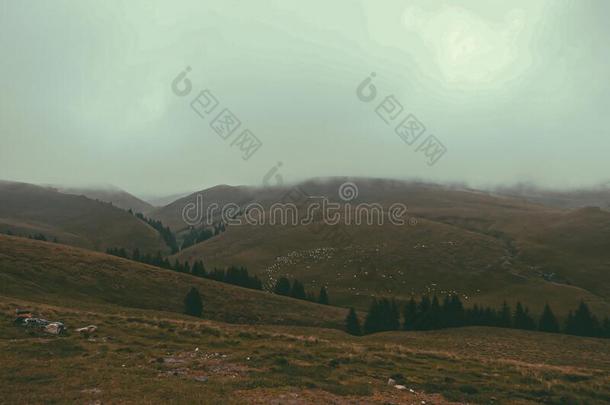 全景画路后的雨季采用Mounta采用有雾的喀尔巴阡山脉的Mounta采用s