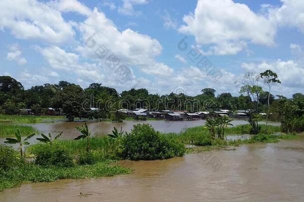 洪水泛滥陆地和村民一起指已提到的人亚马逊河河