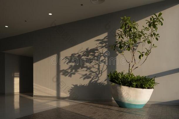 绿色的室内植物向走廊里面的关于部门商店